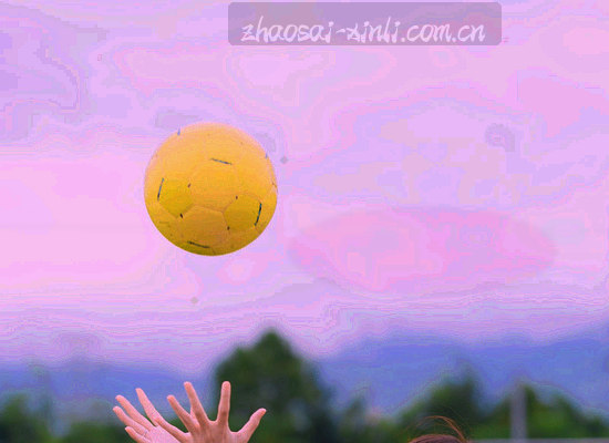 历史交锋条形图